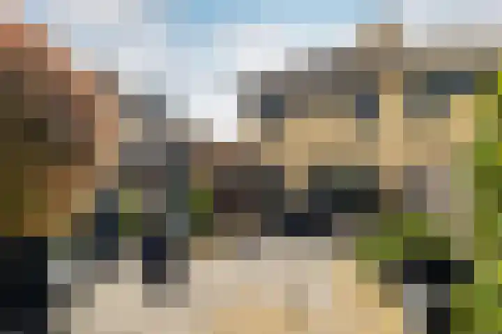 Paulus Rinkstraat 14 Oosterhout thumbnail 34