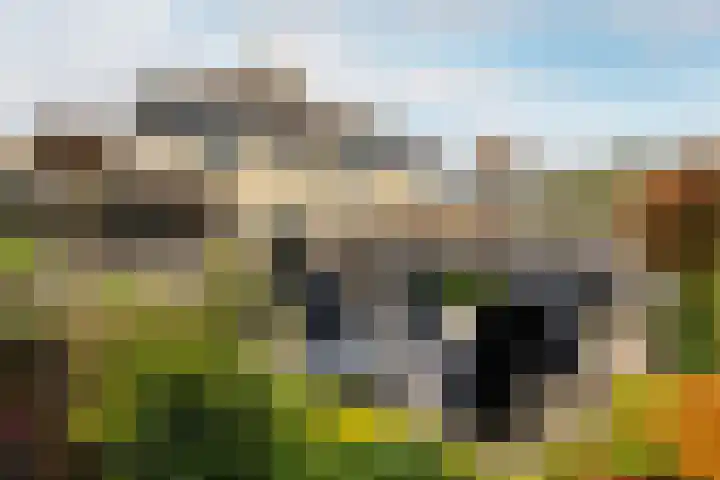 Paulus Rinkstraat 14 Oosterhout thumbnail 35