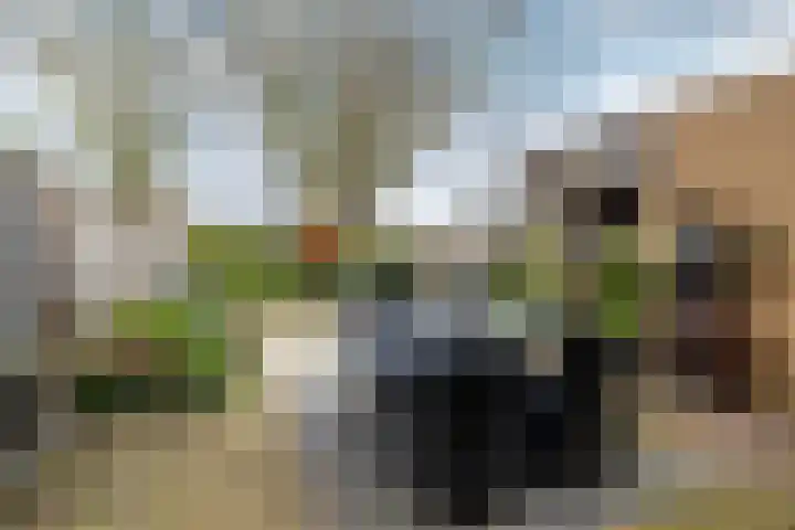 Paulus Rinkstraat 14 Oosterhout thumbnail 36