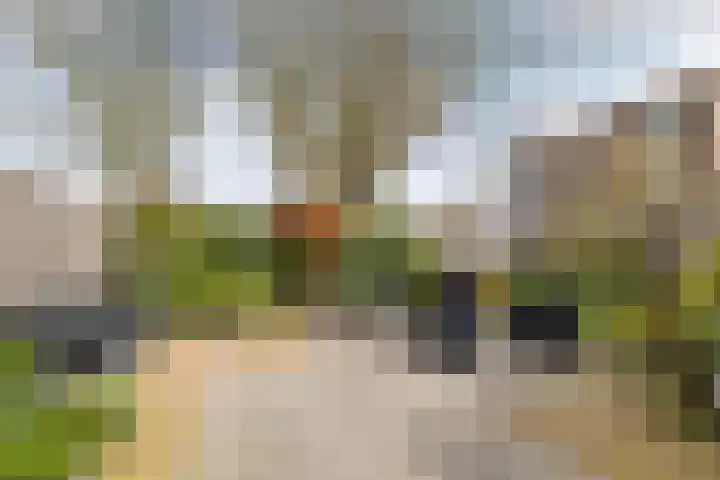 Paulus Rinkstraat 14 Oosterhout thumbnail 37