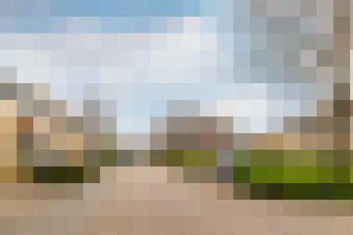 Paulus Rinkstraat 14 Oosterhout thumbnail 4