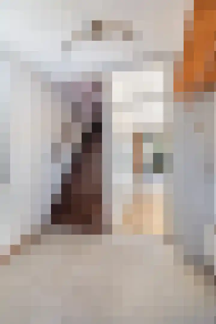 Paulus van Asperenpad 9 Hoek van Holland thumbnail 13