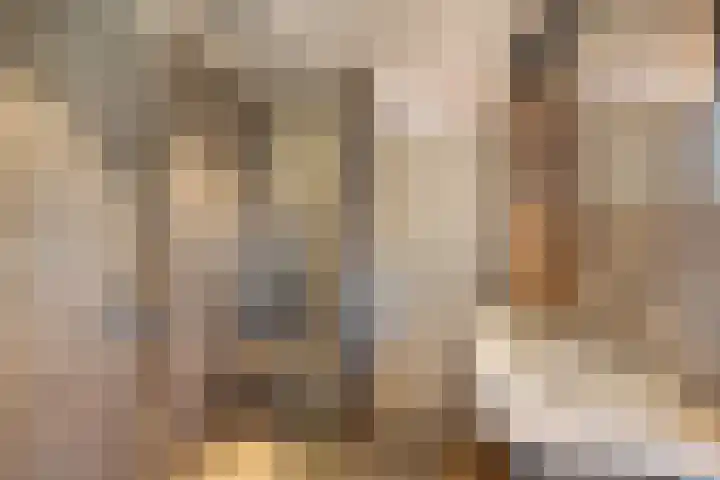 Paulus van Asperenpad 9 Hoek van Holland thumbnail 21
