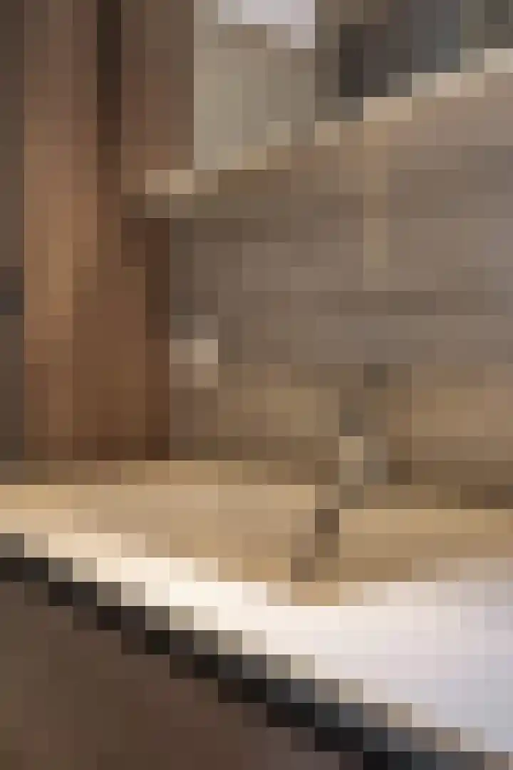 Paulus van Asperenpad 9 Hoek van Holland thumbnail 23