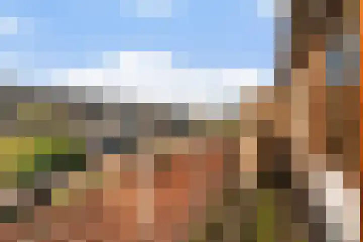 Paulus van Asperenpad 9 Hoek van Holland thumbnail 29