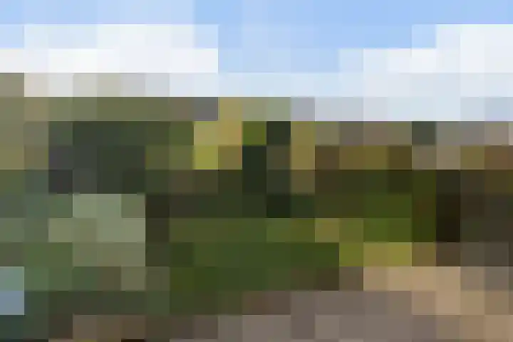 Paulus van Asperenpad 9 Hoek van Holland thumbnail 31