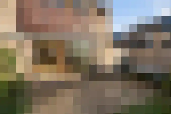 Paulus van Asperenpad 9 Hoek van Holland thumbnail 32