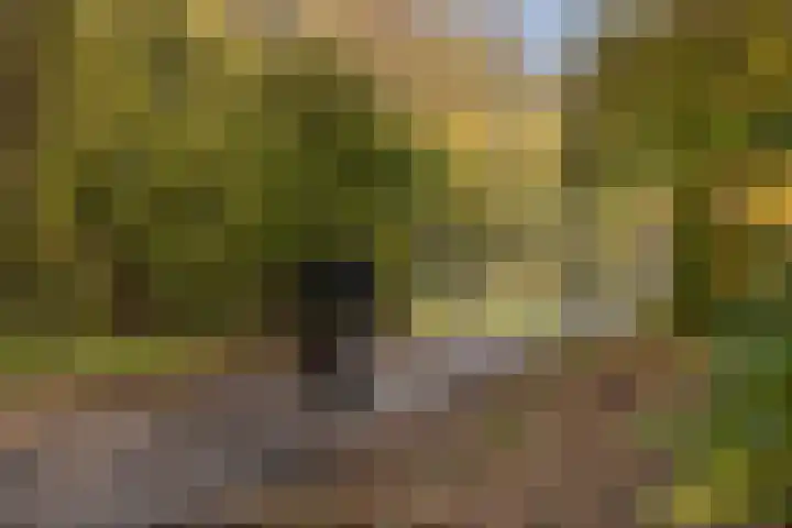 Paulus van Asperenpad 9 Hoek van Holland thumbnail 35