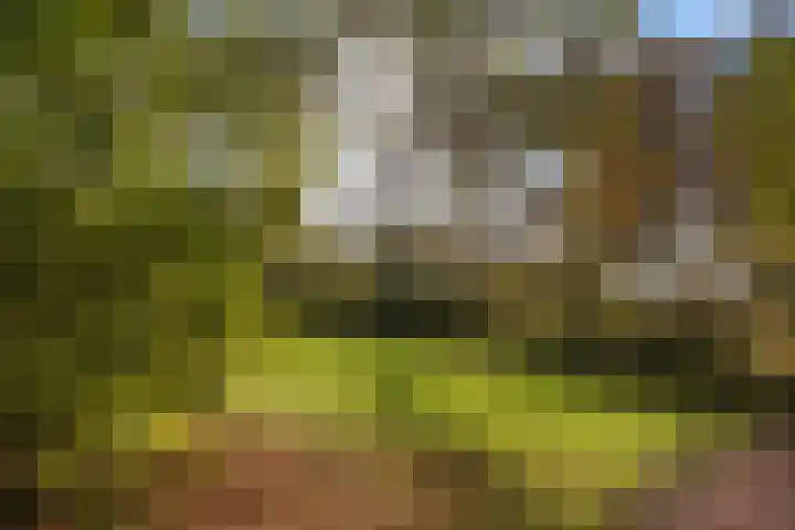 Paulus van Asperenpad 9 Hoek van Holland thumbnail 36