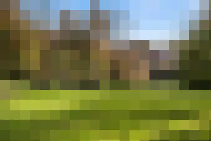 Paulus van Asperenpad 9 Hoek van Holland thumbnail 37