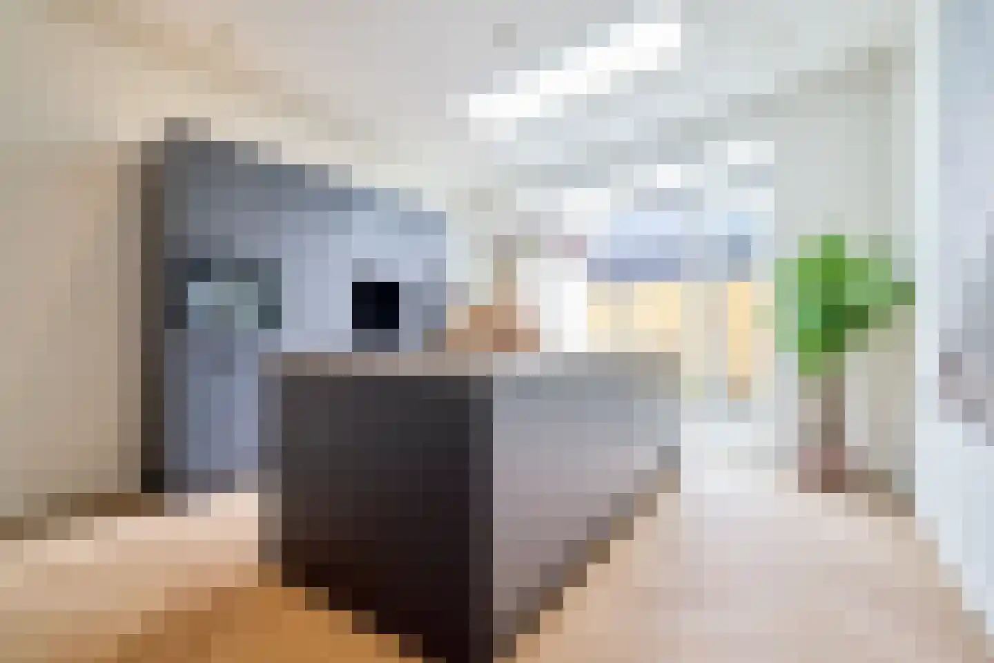 Paulus van Vianenstraat 5 Utrecht thumbnail 13