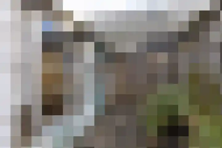 Paulus van Vianenstraat 5 Utrecht thumbnail 25