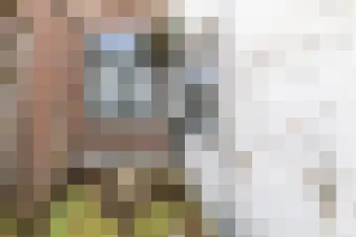 Paulus van Vianenstraat 5 Utrecht thumbnail 27