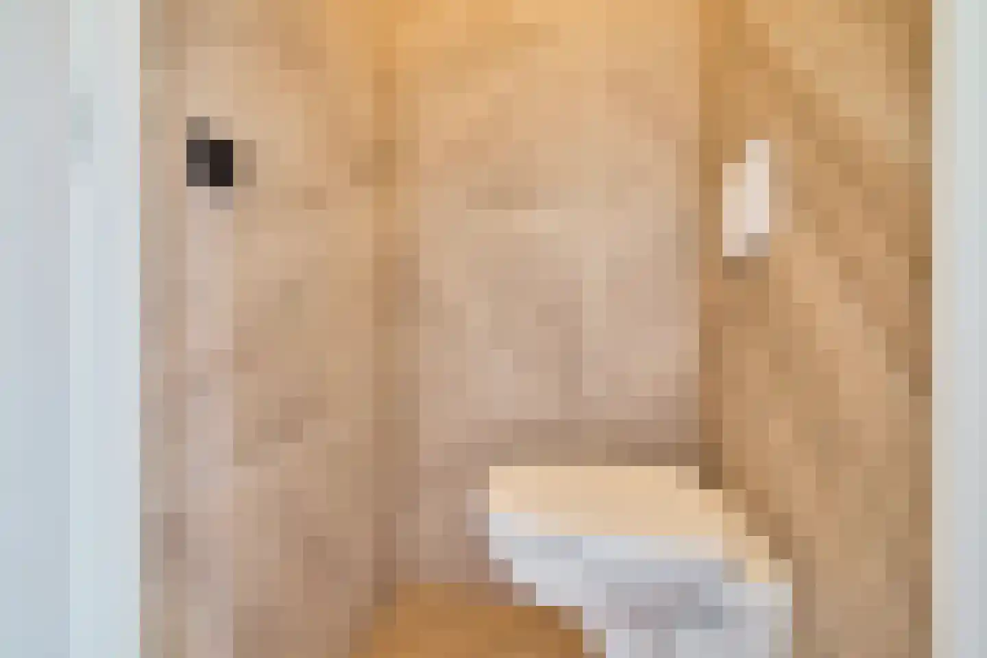 Paulus van Vianenstraat 5 Utrecht thumbnail 28
