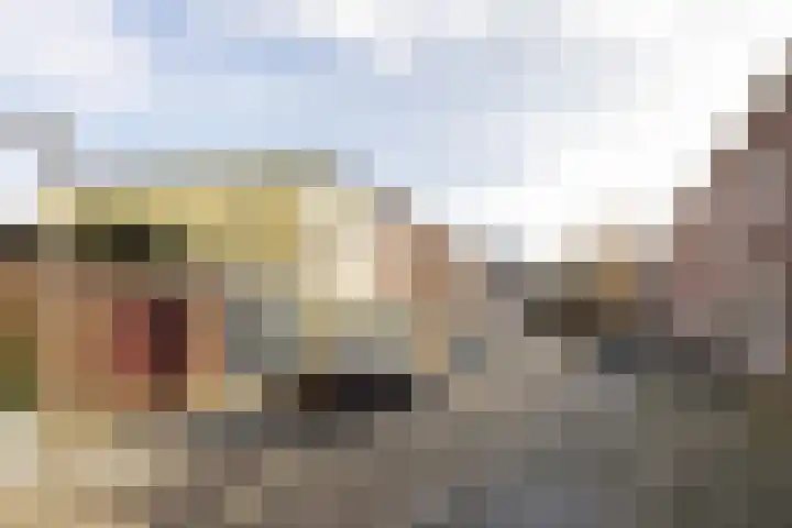 Paulus van Vianenstraat 5 Utrecht thumbnail 28