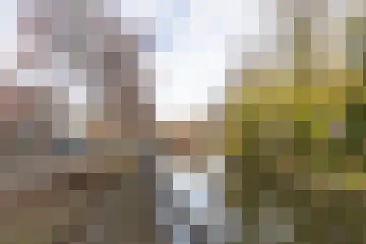 Paulus van Vianenstraat 5 Utrecht thumbnail 29