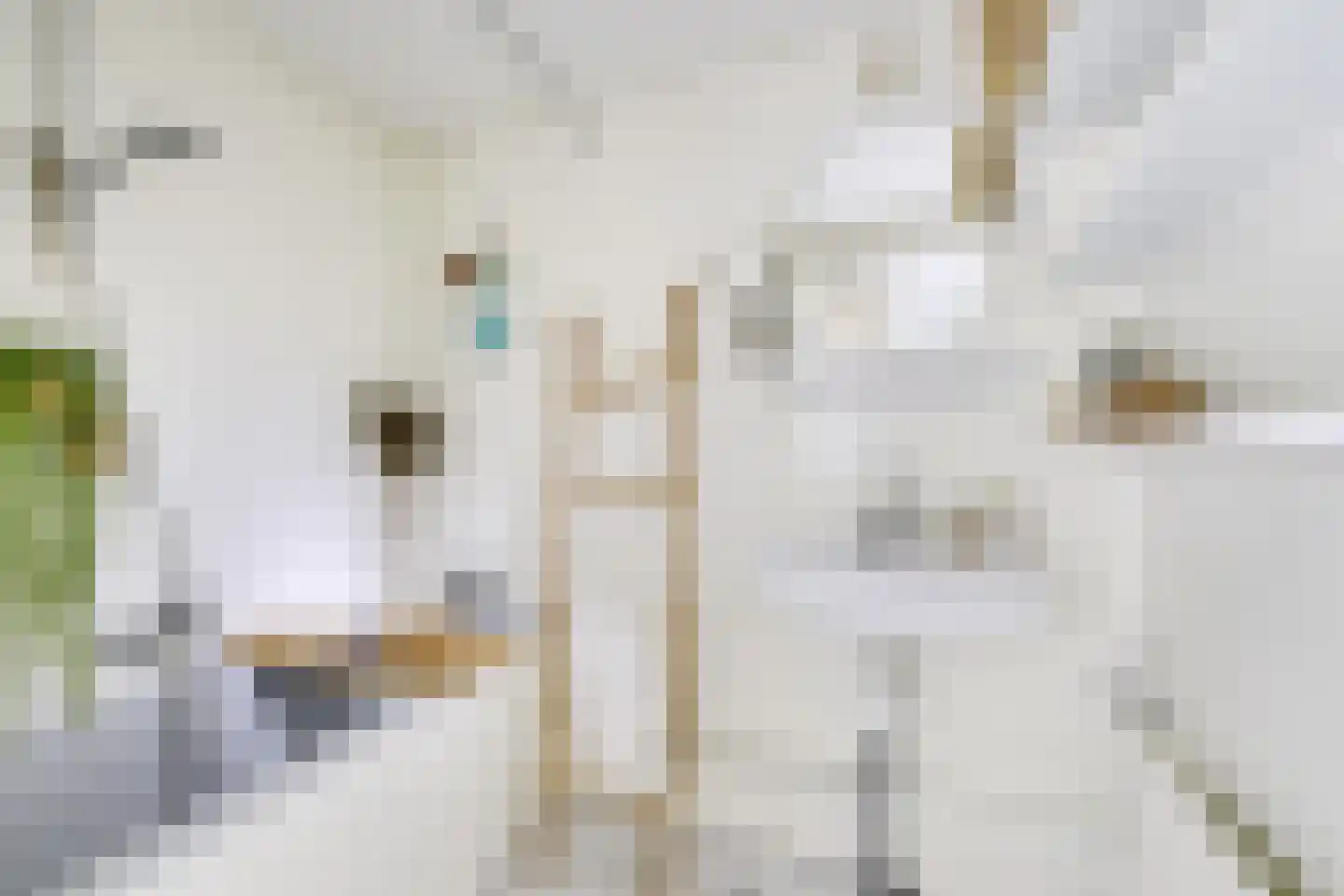Paulus van Vianenstraat 9 Utrecht thumbnail 17