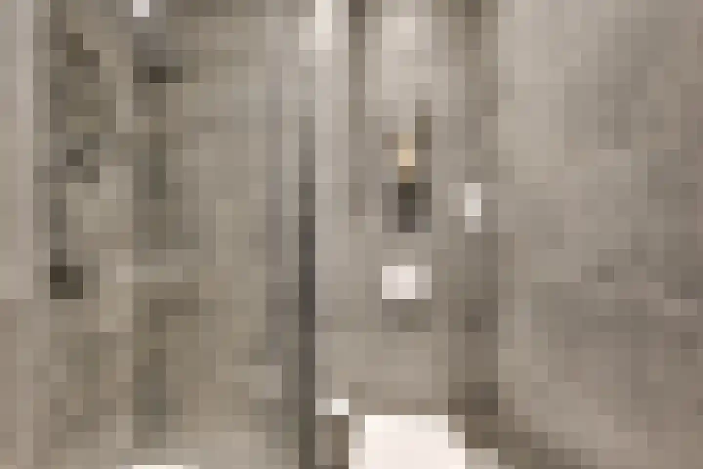 Paulus van Vianenstraat 9 Utrecht thumbnail 22
