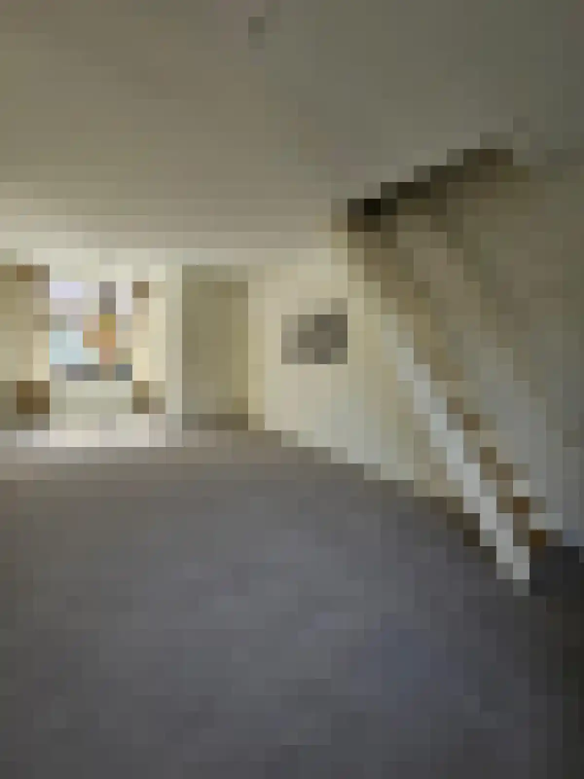 Paulus van Vianenstraat 9 Utrecht thumbnail 39