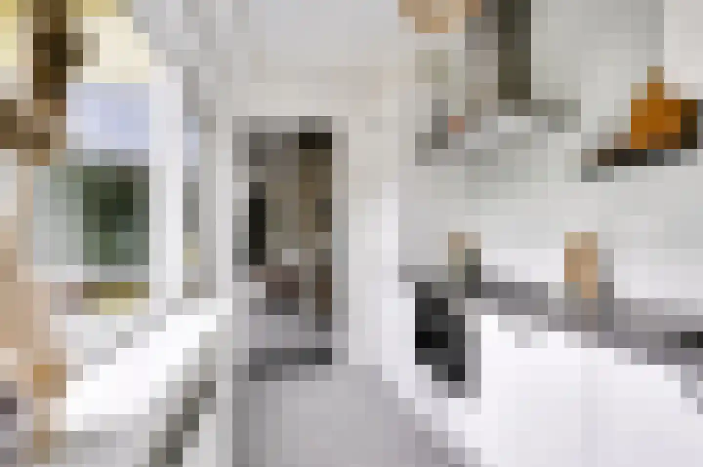 Paulus van Vianenstraat 9 Utrecht thumbnail 9