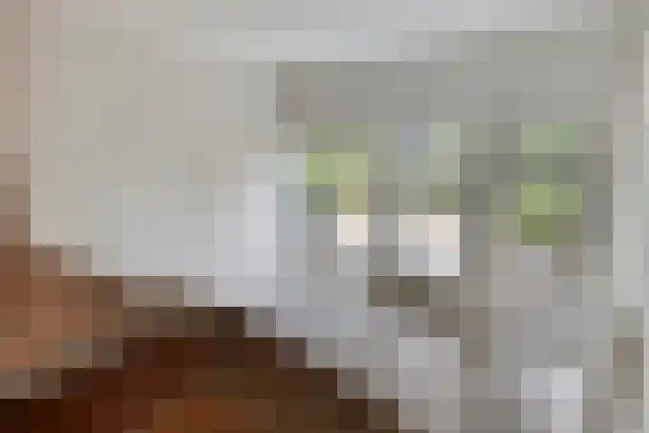 Paulusberg 1 Bergen op Zoom thumbnail 10