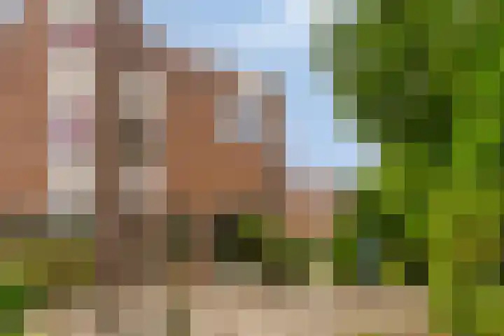 Paulusberg 1 Bergen op Zoom thumbnail 26