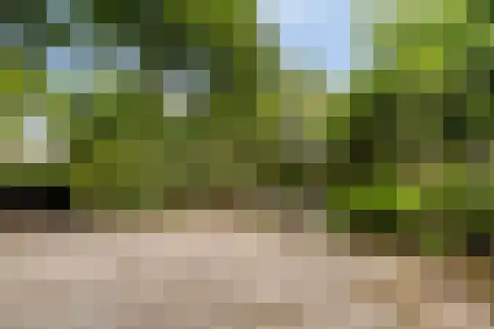 Paulusberg 1 Bergen op Zoom thumbnail 27