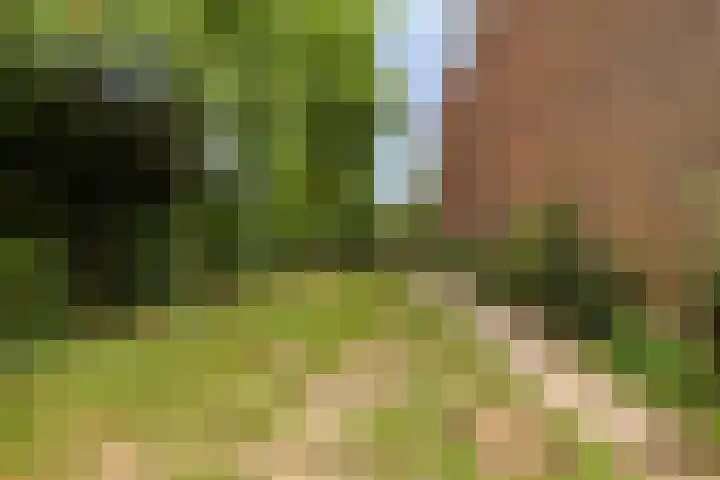 Paulusberg 1 Bergen op Zoom thumbnail 29