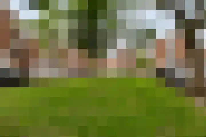 Paulusberg 1 Bergen op Zoom thumbnail 34