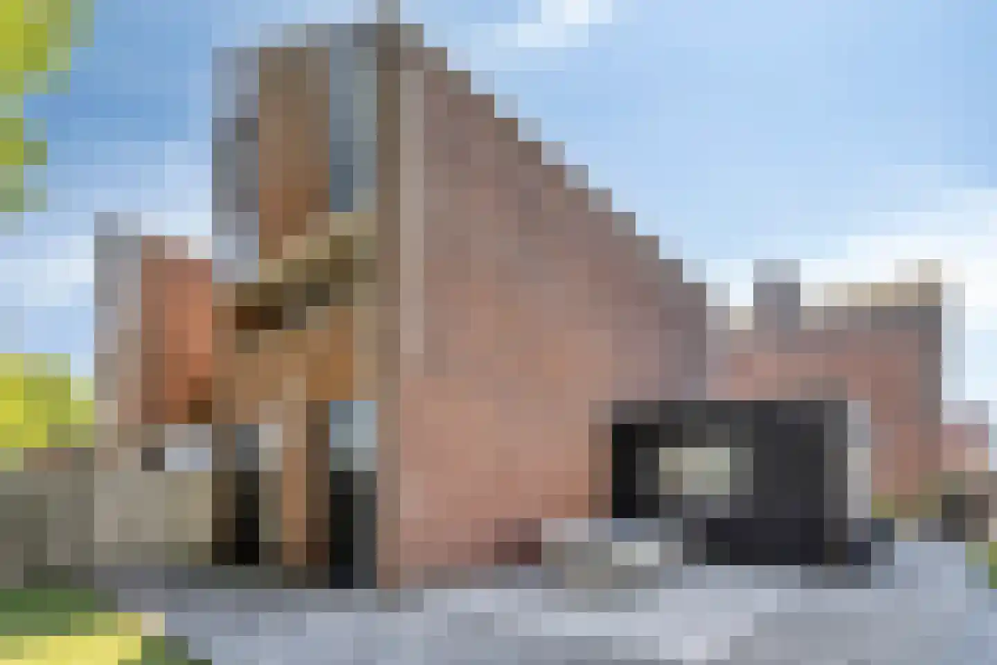 Paulusberg 25 Bergen op Zoom thumbnail 41