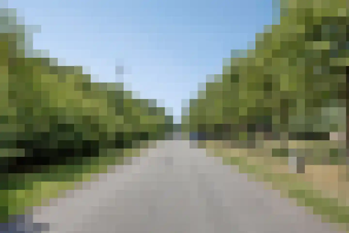 Pauluslaan 28 Noordwijk thumbnail 63