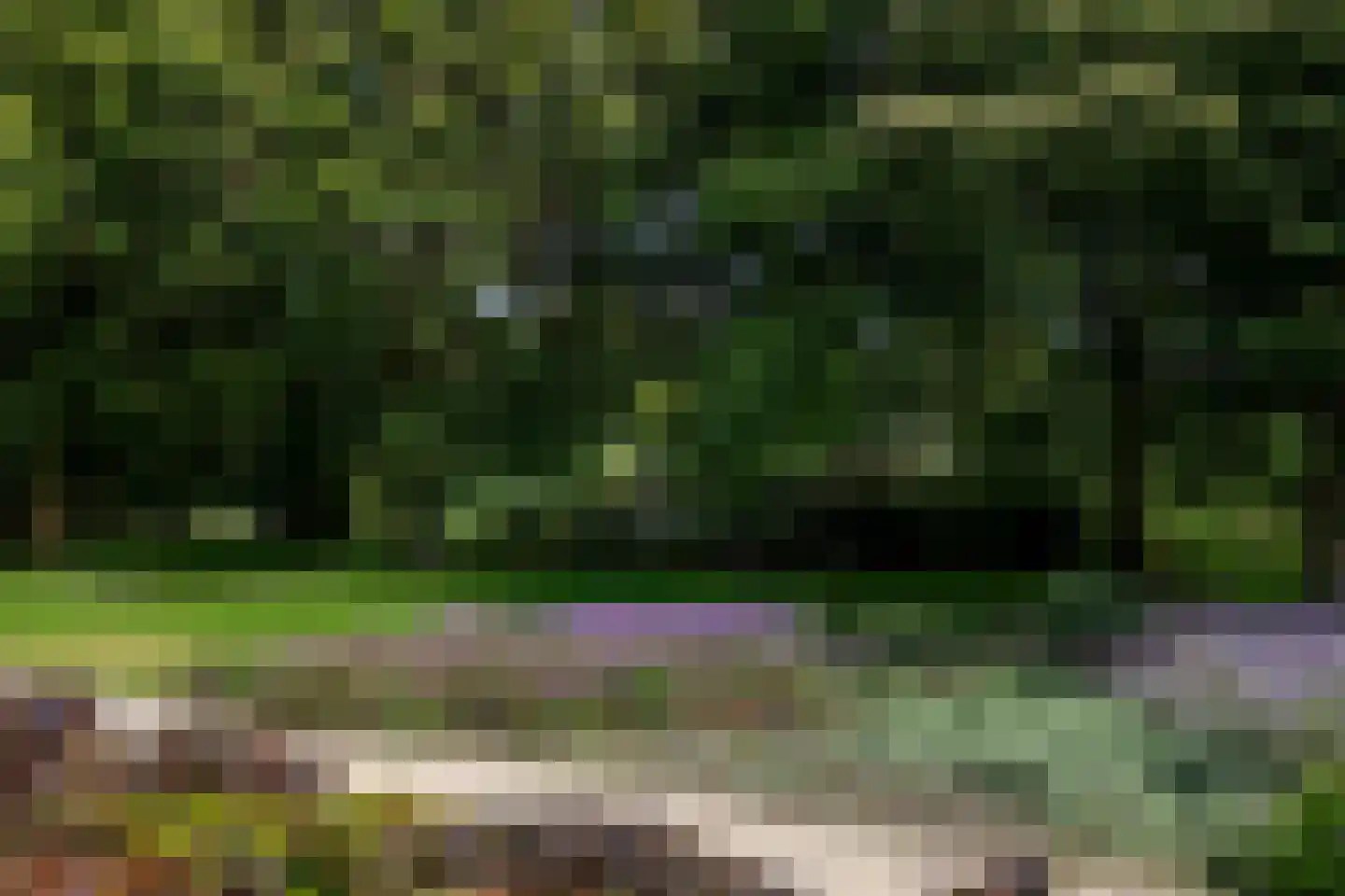 Pauluslaan 28 Noordwijk thumbnail 64