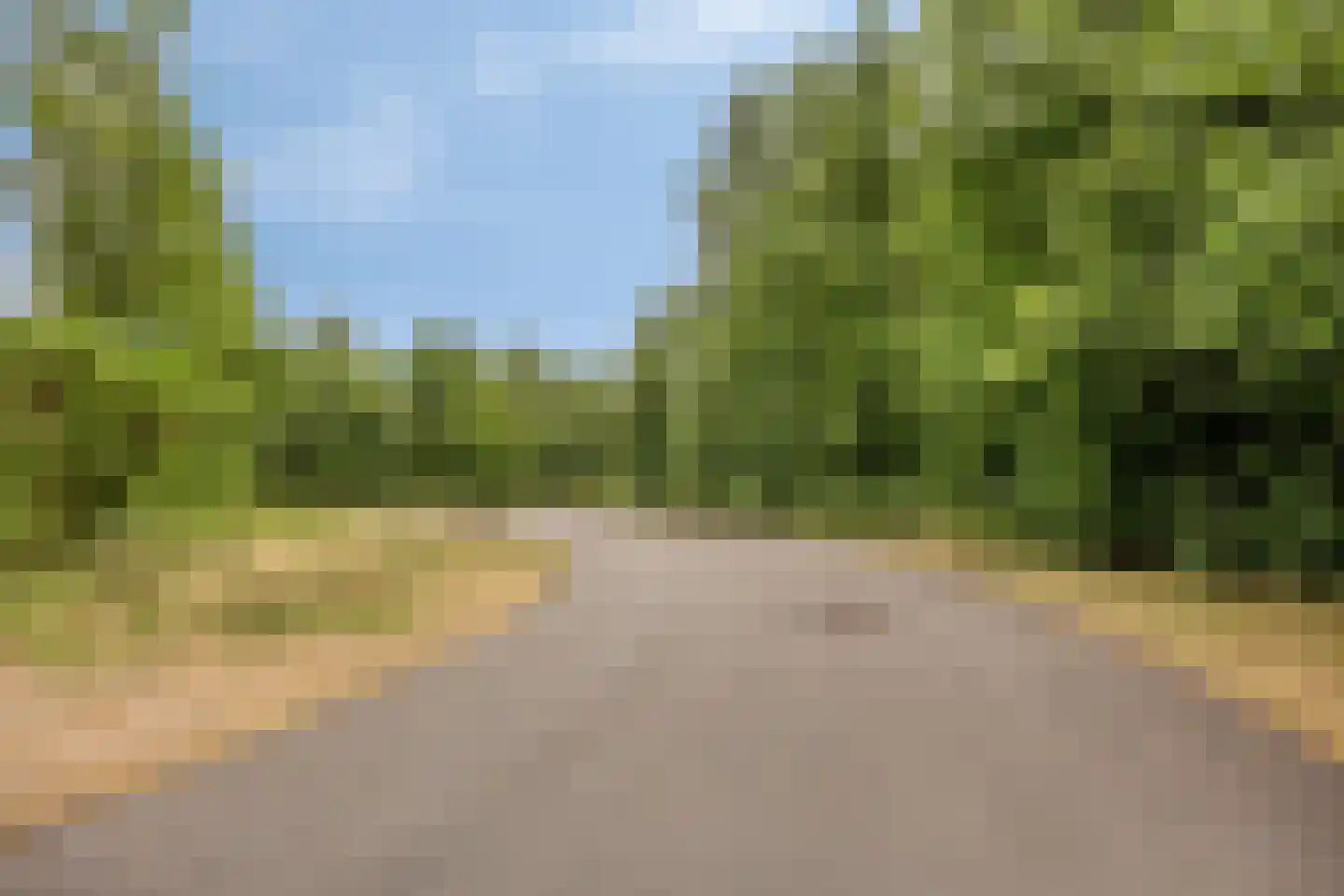 Pauluslaan 48 A Noordwijk thumbnail 44