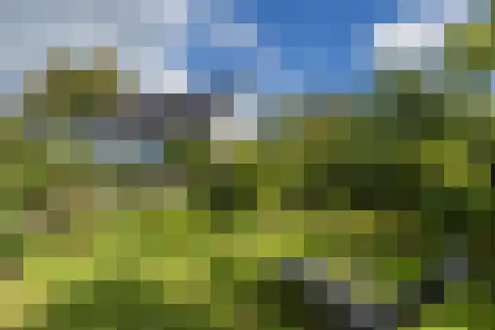 Pauluslaan 49 Noordwijk thumbnail 32