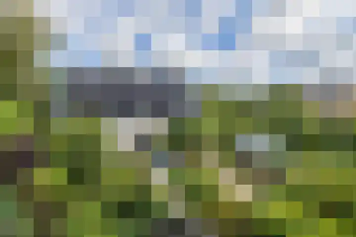Pauluslaan 49 Noordwijk thumbnail 36