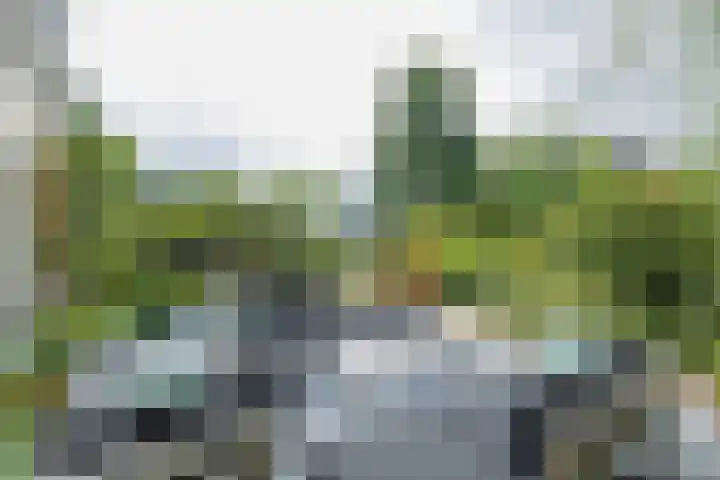 Pauluslaan 49 Noordwijk thumbnail 37