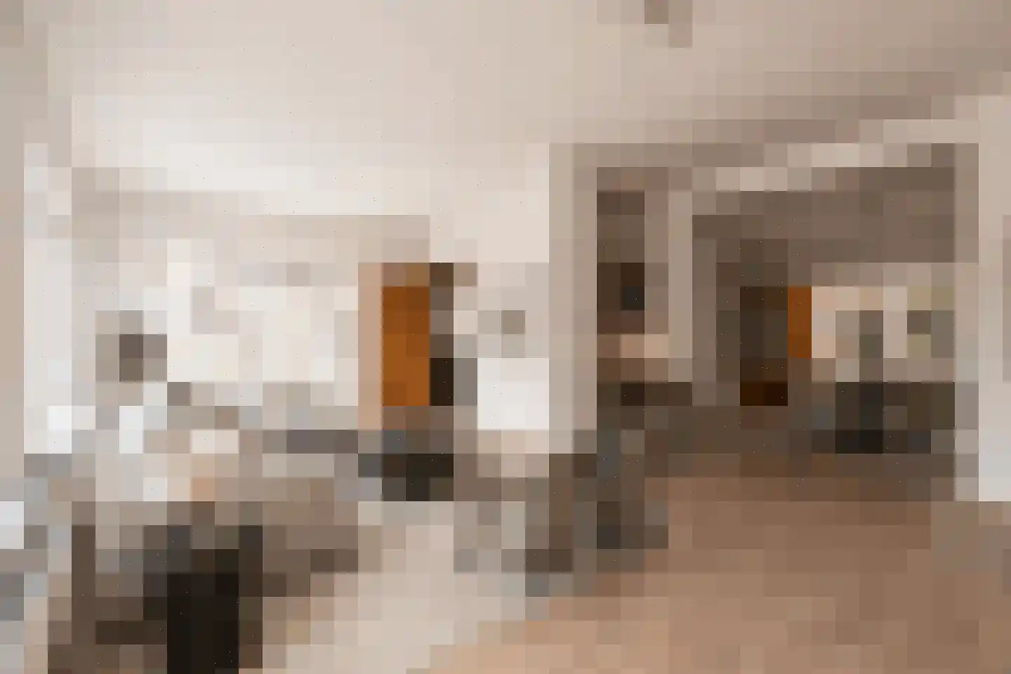 Paulusstraat 17 Sint Anthonis thumbnail 4