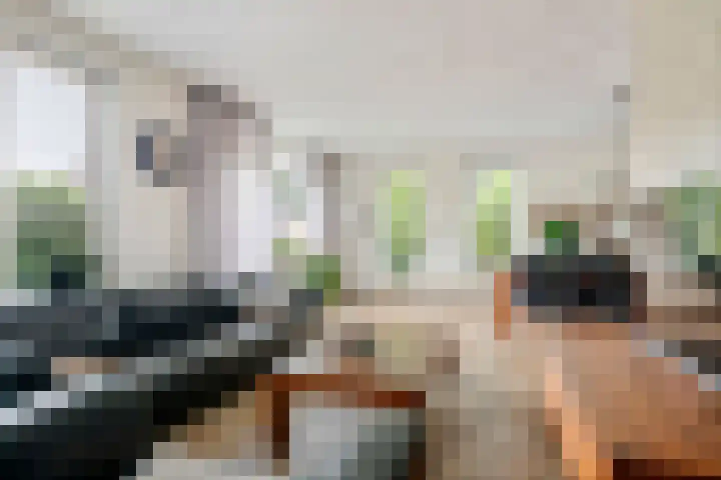 Paulusstraat 19 Deest thumbnail 11