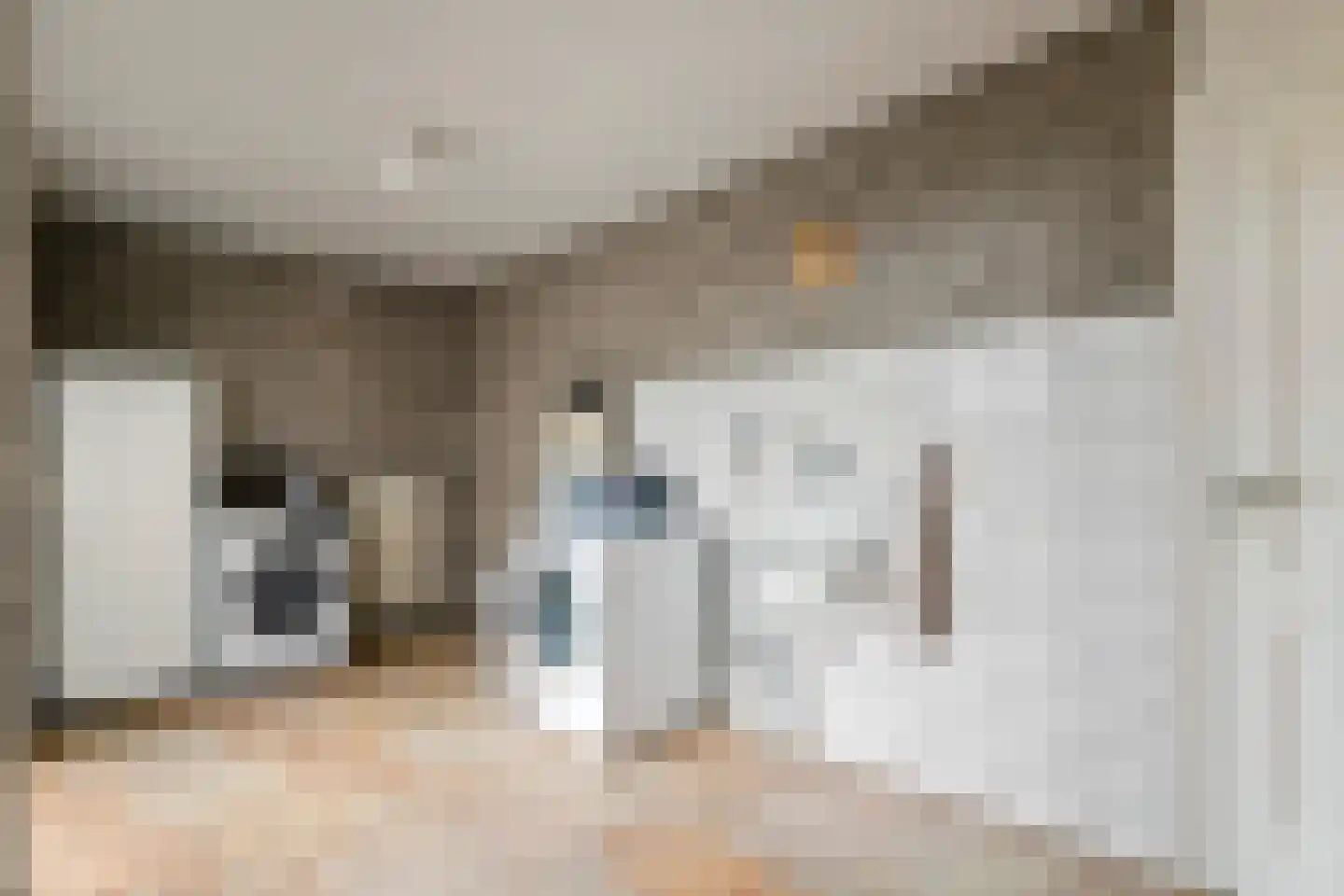 Paulusstraat 19 Deest thumbnail 18
