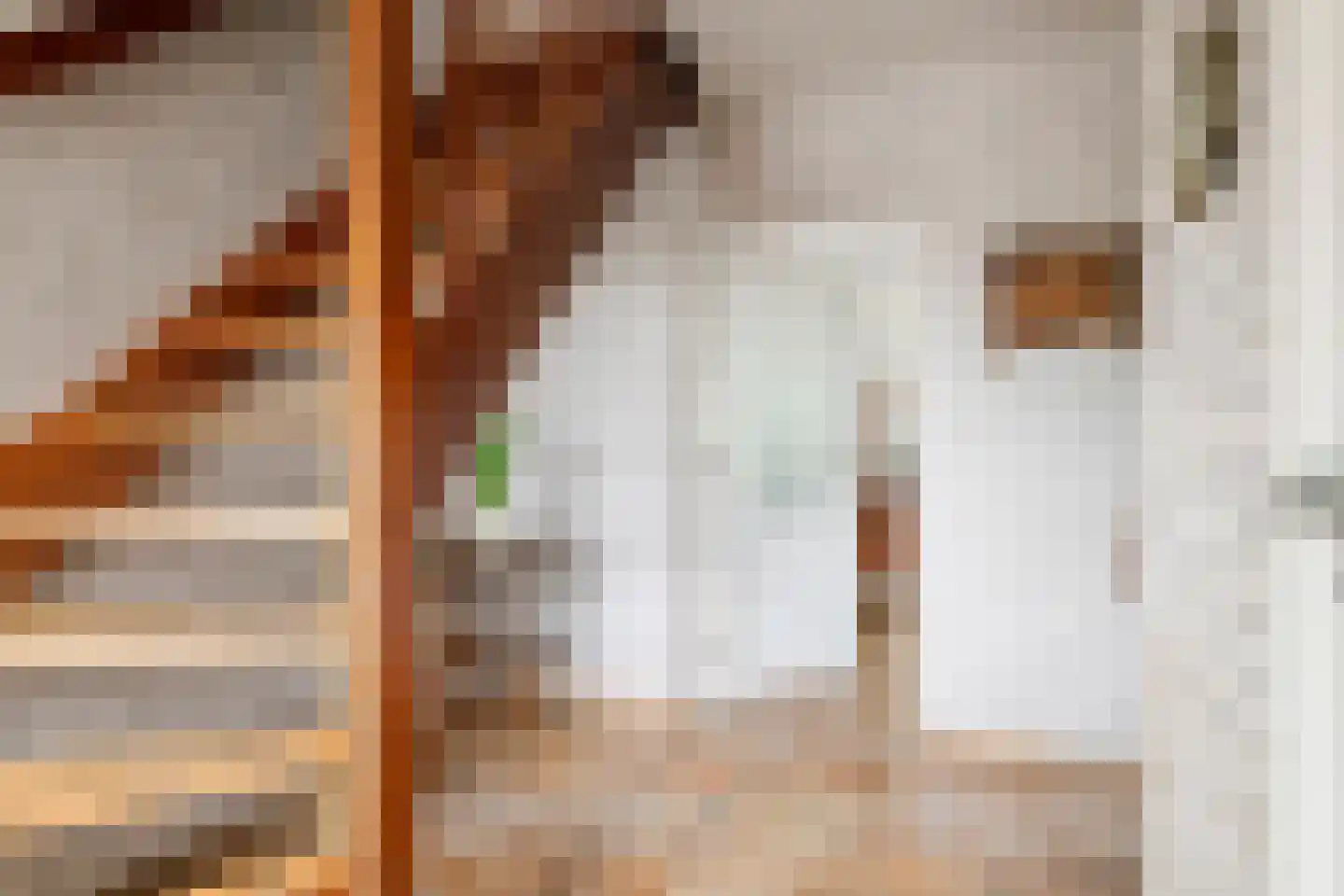 Paulusstraat 19 Deest thumbnail 24