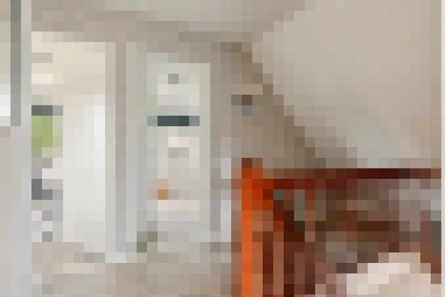 Paulusstraat 19 Deest thumbnail 32