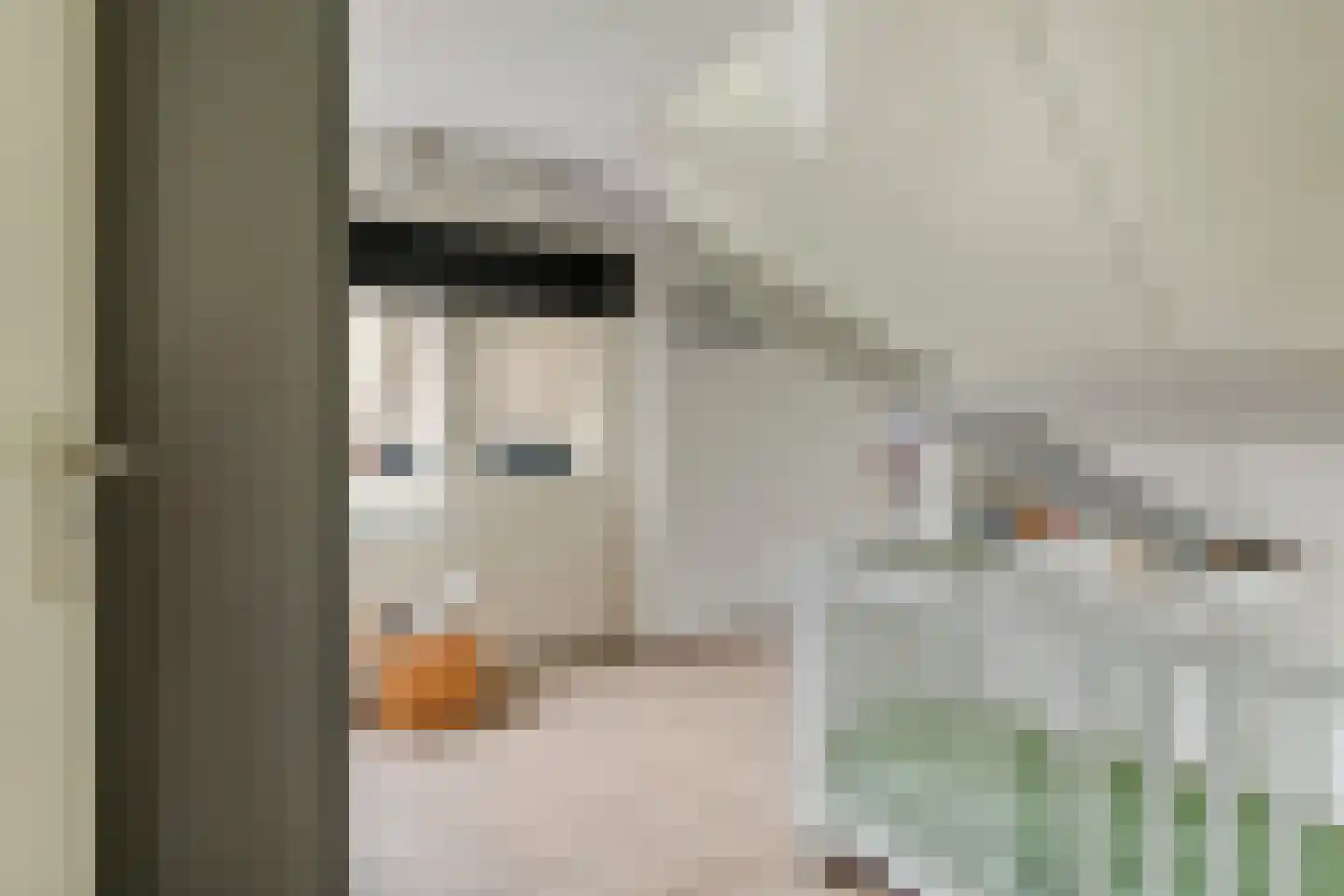 Paulusstraat 19 Deest thumbnail 33