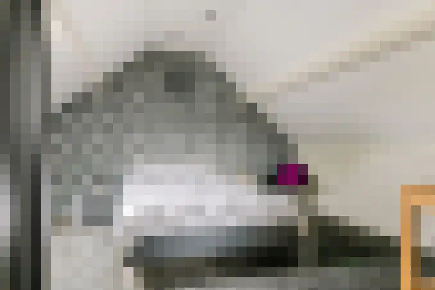 Paulusstraat 19 Deest thumbnail 36