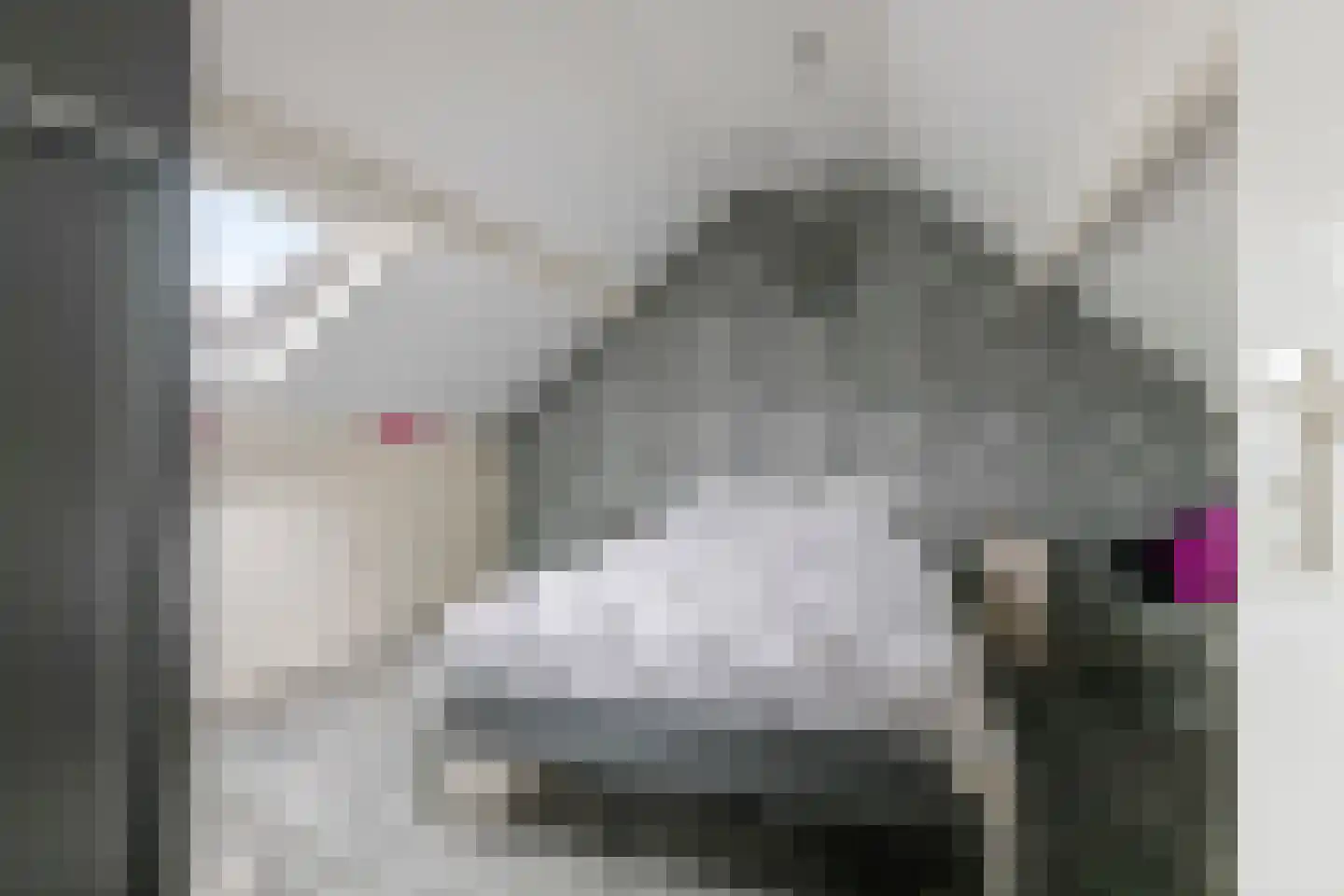 Paulusstraat 19 Deest thumbnail 37