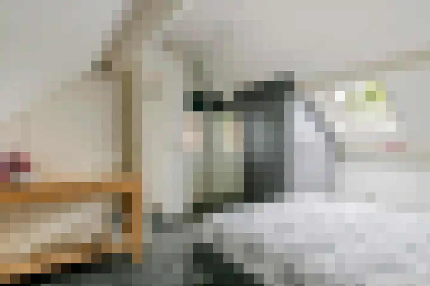Paulusstraat 19 Deest thumbnail 38