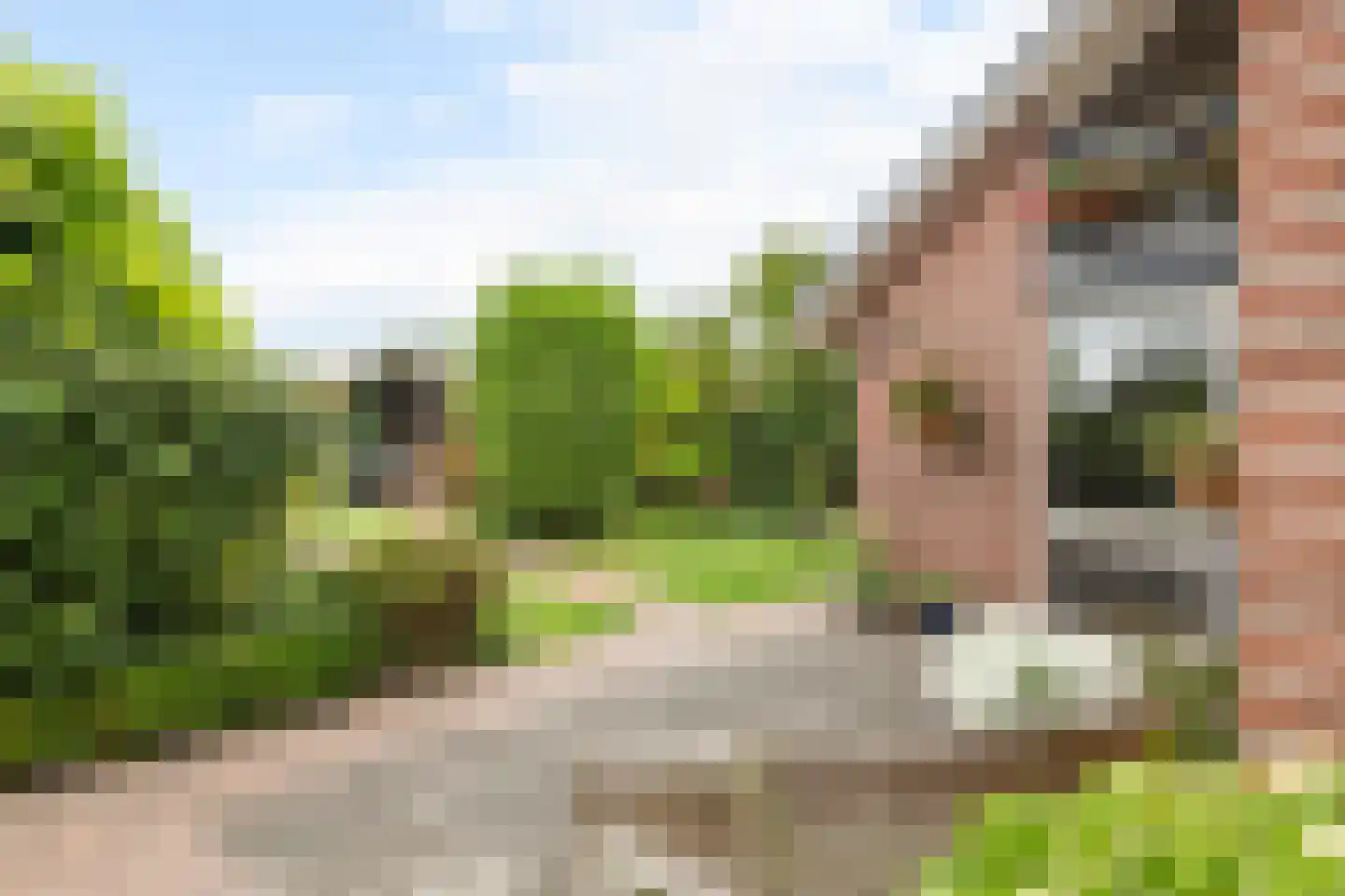 Paulusstraat 19 Deest thumbnail 4
