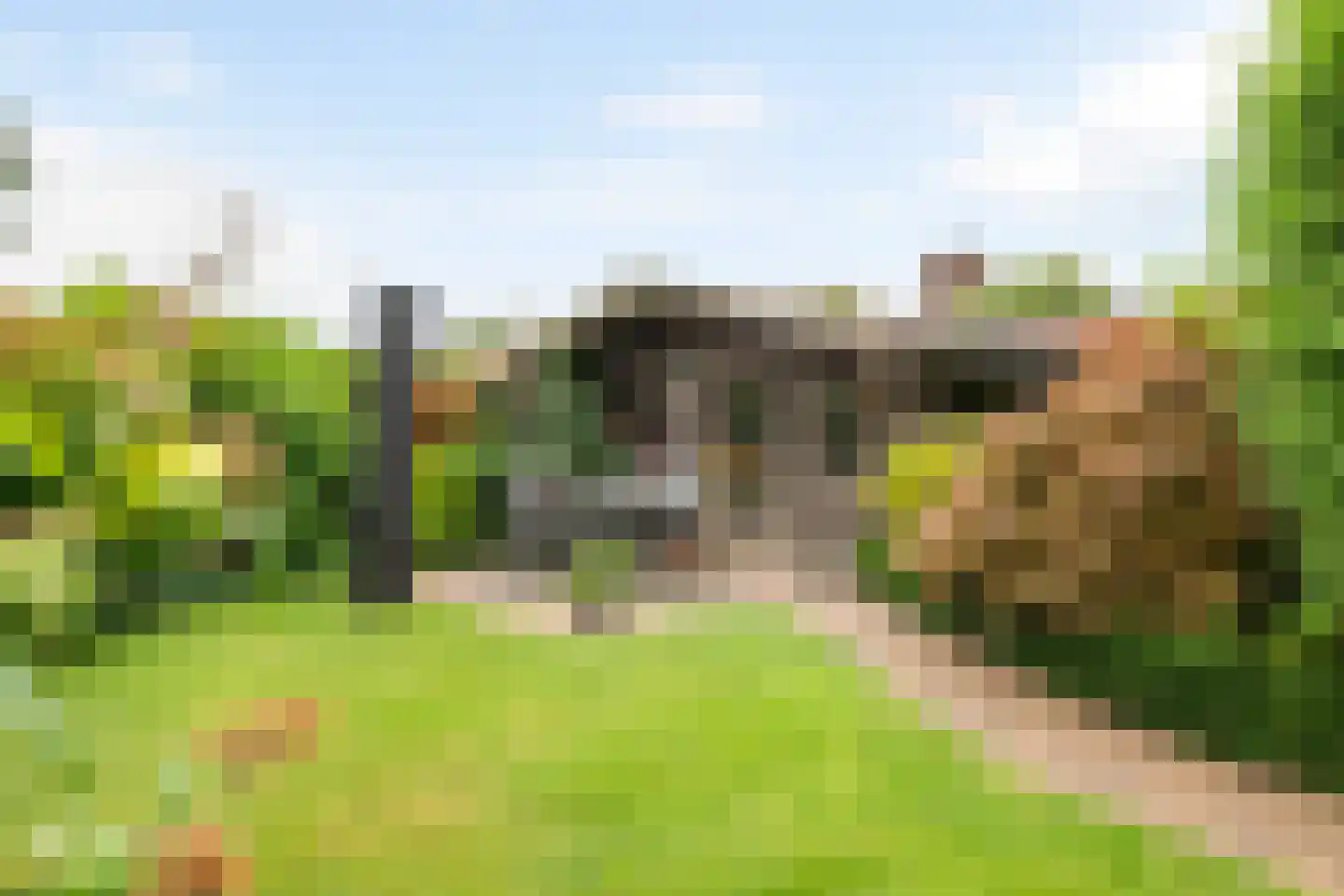 Paulusstraat 19 Deest thumbnail 40