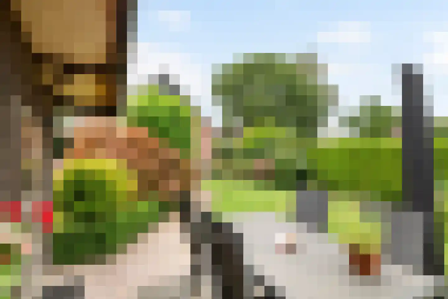 Paulusstraat 19 Deest thumbnail 41