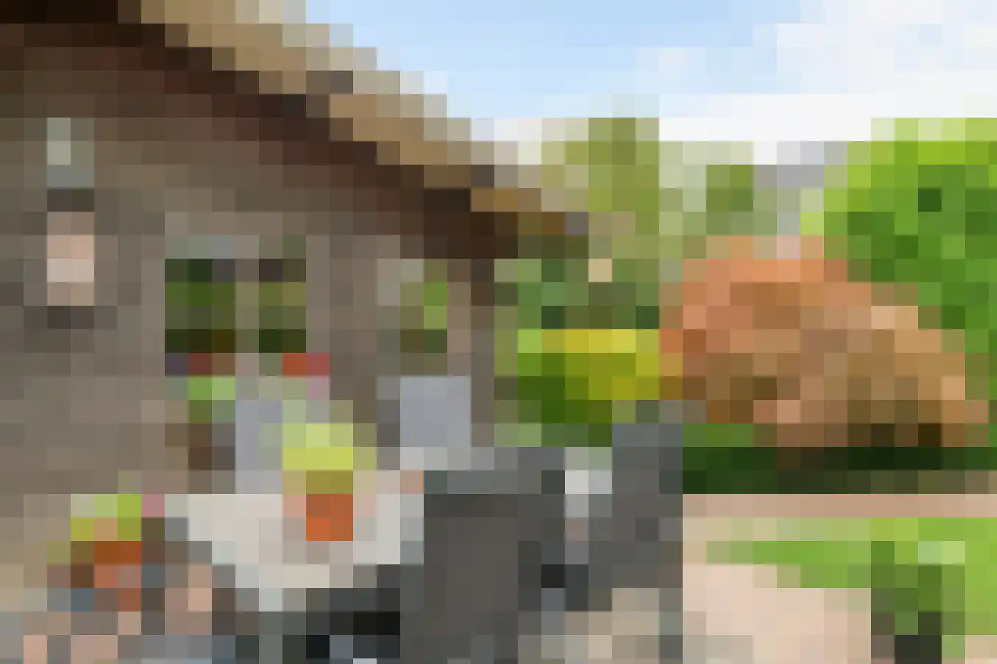 Paulusstraat 19 Deest thumbnail 43