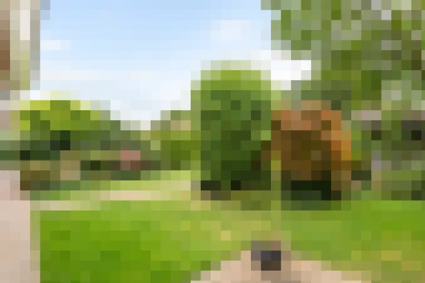 Paulusstraat 19 Deest thumbnail 44